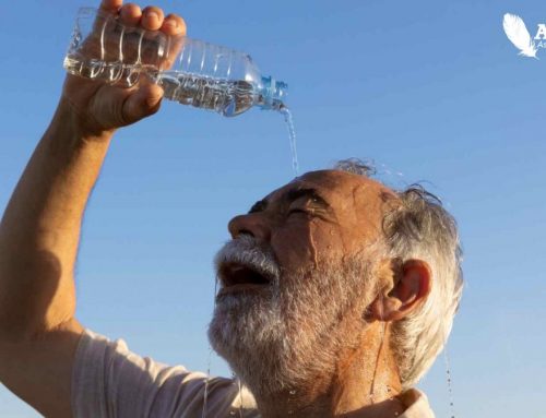 O Dia Mundial da Água e a Importância da Hidratação na Terceira Idade