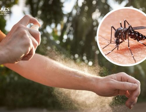 Por que a dengue é mais perigosa para a população idosa?